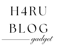 h4rublogガジェット紹介